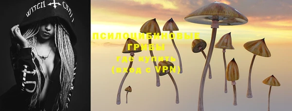 не бодяженный Алзамай